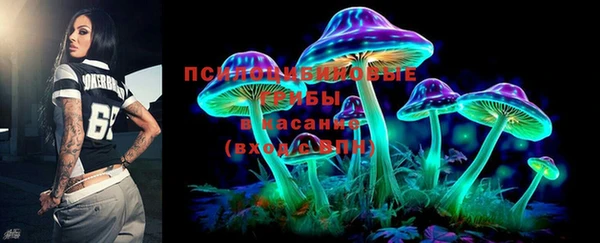 молекула духа Баксан